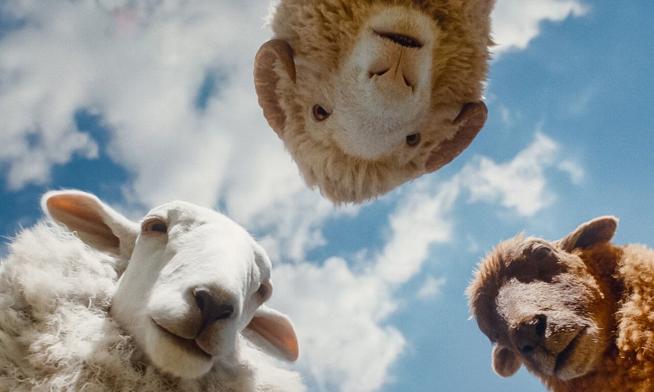 Szene aus dem Film Glennkill, drei Schafe gucken auf den Betrachtenden hinab, im Hintergrund Wolkenhimmel
