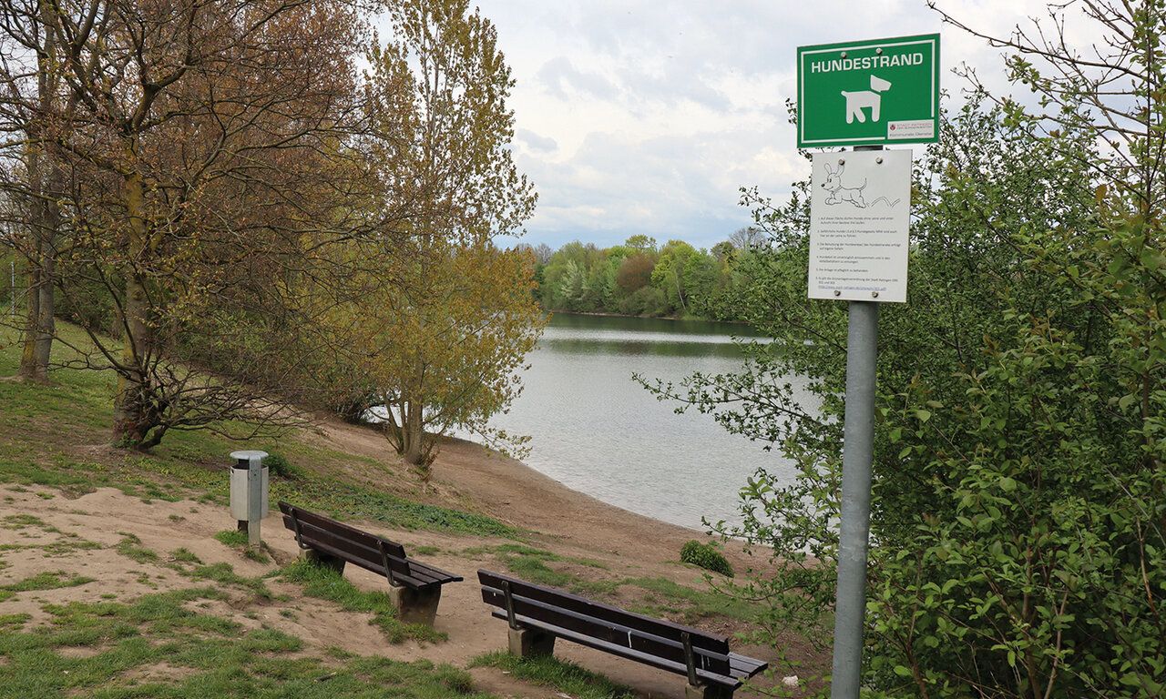Blick auf den Grünen See in Ratingen