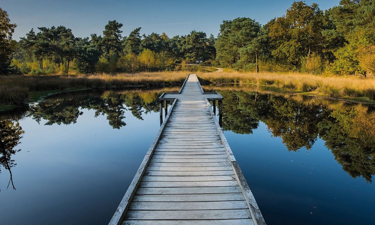 Maasduinen, Steg im Wasser