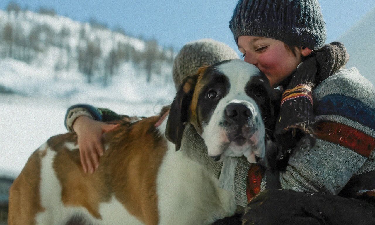 Szene aus dem Film Mein Freund Barry, ein Junge umarmt einen Bernhardiner, im Hintergrund Schneelandschaft