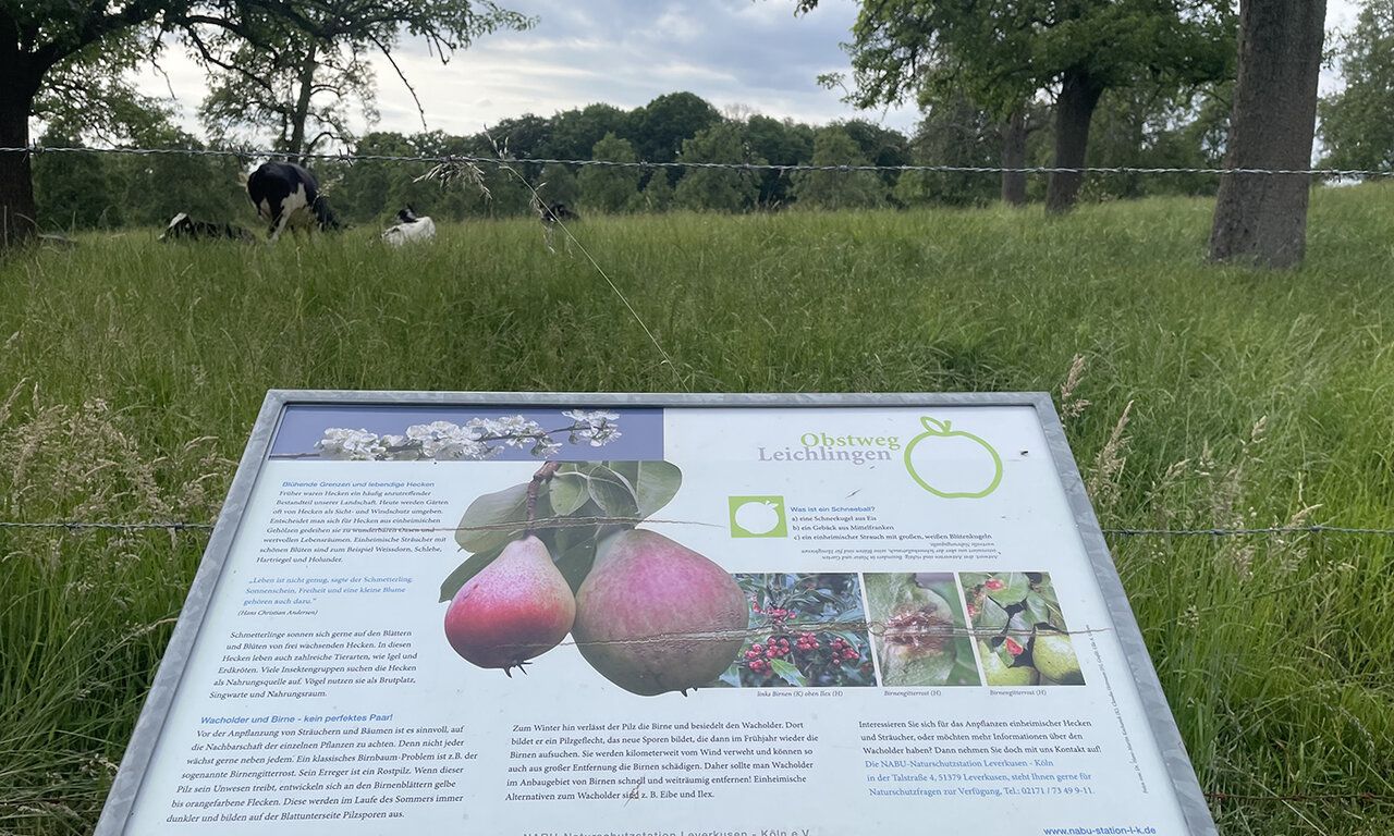 Schild Obstweg Leichlingen