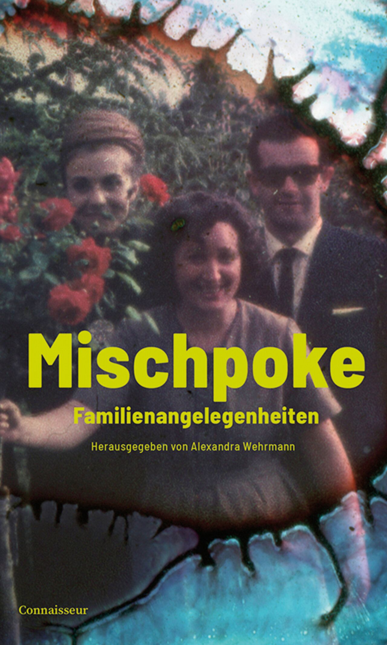 Titel des Buches Mischpoke Familienangelegenheiten