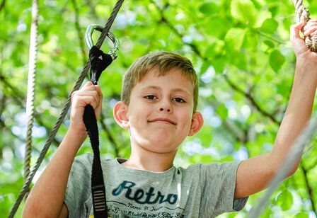 Porträt eines Jungen, der gesichert im Baum klettert