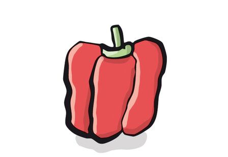 Illustration von einer Paprikaschote