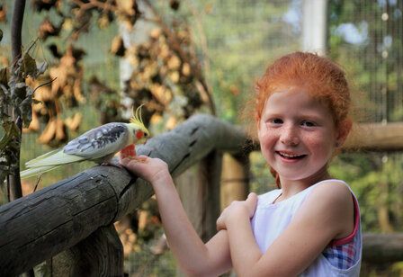 Rothaariges Mädchen mit Kanarienvogel
