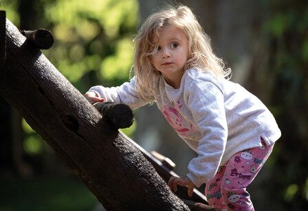 Kind klettert auf ein Holz-Klettergerüst, im Hintergrund unscharfe Bäume