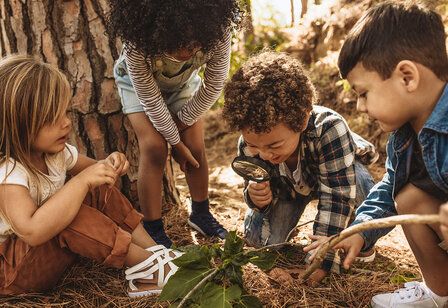 vier Kinder spielen im Wald, ein Kind guckt sich eine Pflanze mit einer Lupe an