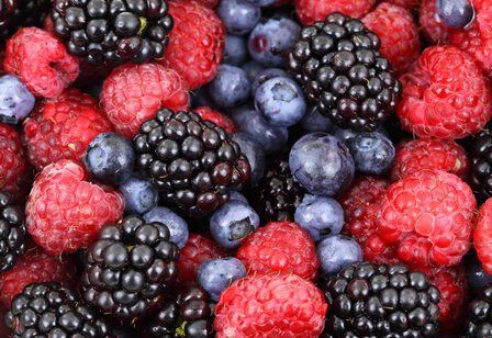 Mischung aus roten und blauen Waldbeeren