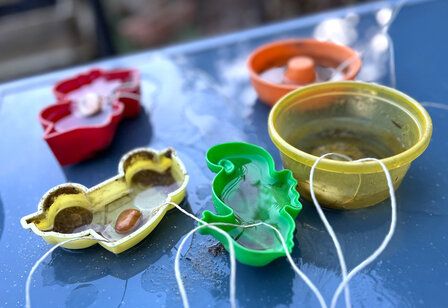 bunte Förmchen mit Wasser gefüllt