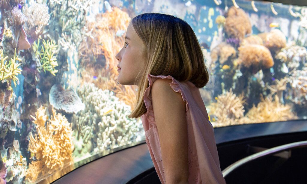 Mädchen steht im Aquazoo vor dem Aquarium des Korallenriffs