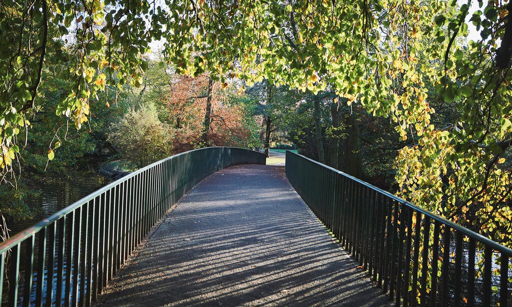 Brücke über den Teich im Florapark seitlich Bäume