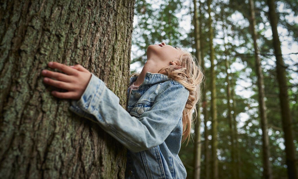 Ein Mädchen in einer Jeansjacke umarmt einen dicken Baumstamm im Wald und schaut dabei nach oben