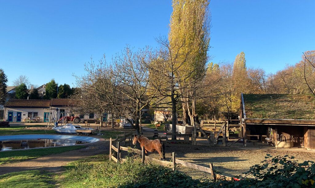 Das Gelände des ASP Oberkassel am Morgen ohne Besucher:innen, aber mit Pferd