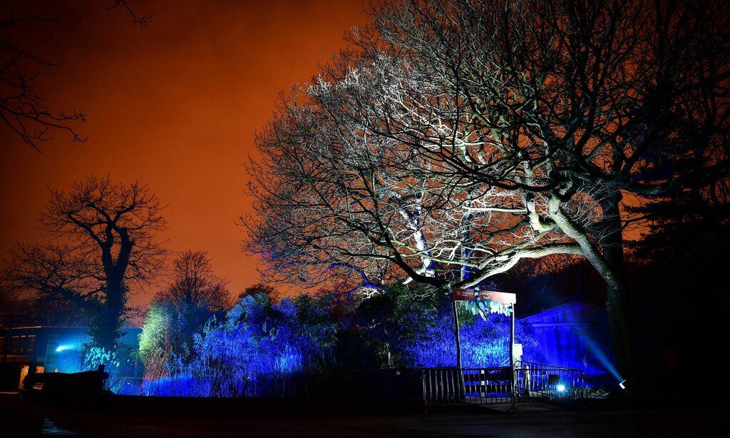 Der Zoo Duisburg im Herbst mit unheimlicher Halloween-Beleuchtung.