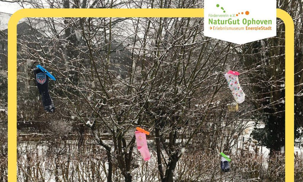 Gebastelte Eiskunst hängt in einem winterlichen Baum
