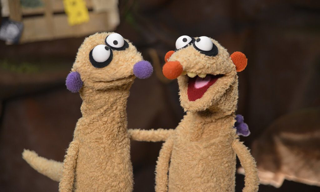 Die Erdmännchen Jan & Henry