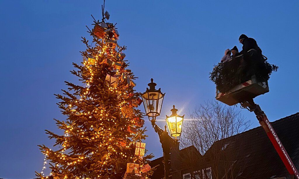 Ein großer Tannenbaum wird in der Dämmerung mit Hilfe einer Hebebühne geschmückt.