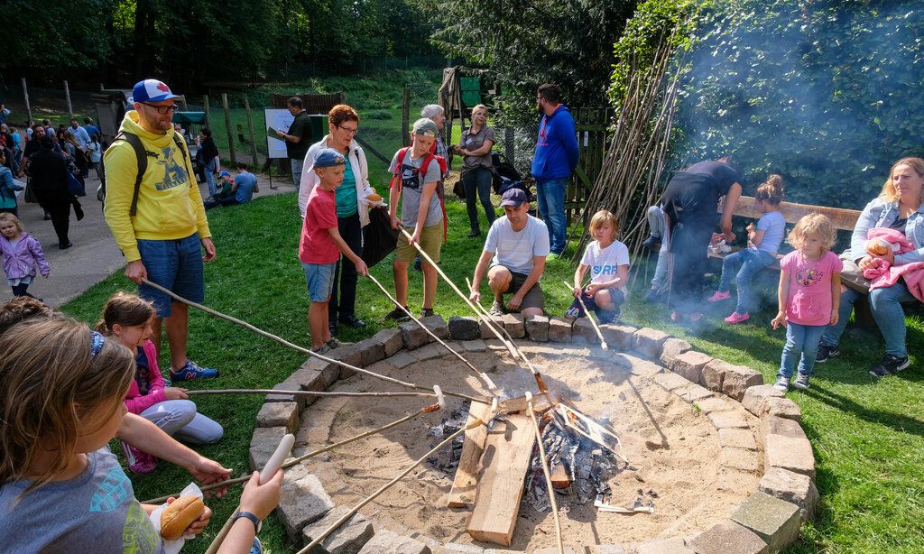 Kinder grillen Würstchen über einer Feuerstelle im Rahmen des Wildparkfests.