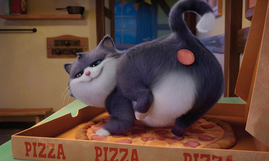Animationsfilm, Katze sitzt auf einer Pizza, die im Pizzakarton liegt, an ihrem Popo klebt eine Salamischeibe