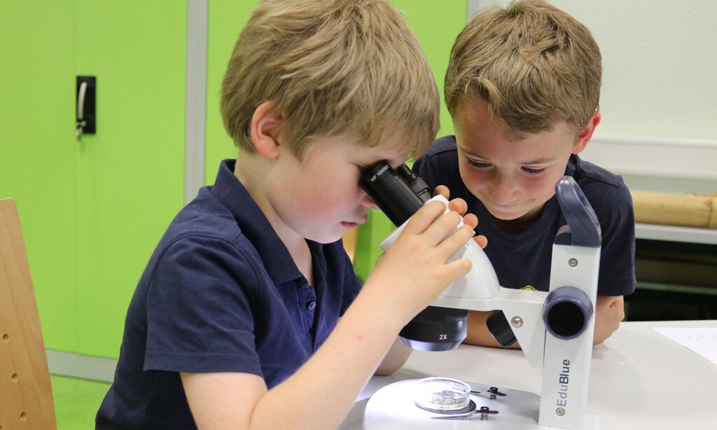 Zwei Jungs sitzen an einem Mikroskop mit einer Petrischale,  einer schaut ins Mikroskop rein, der andere guckt zu