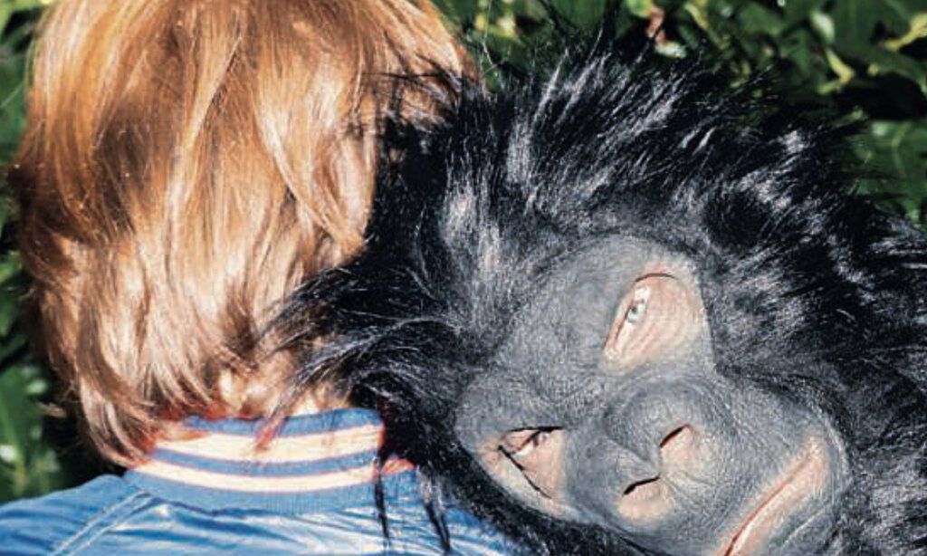 Ein als Gorilla verkleideter Schauspieler legt seinen Kopf auf die Schulter eines Mädchens