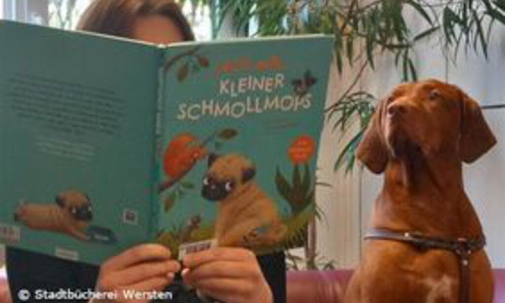 Lesen mit Hund in der Bücherei