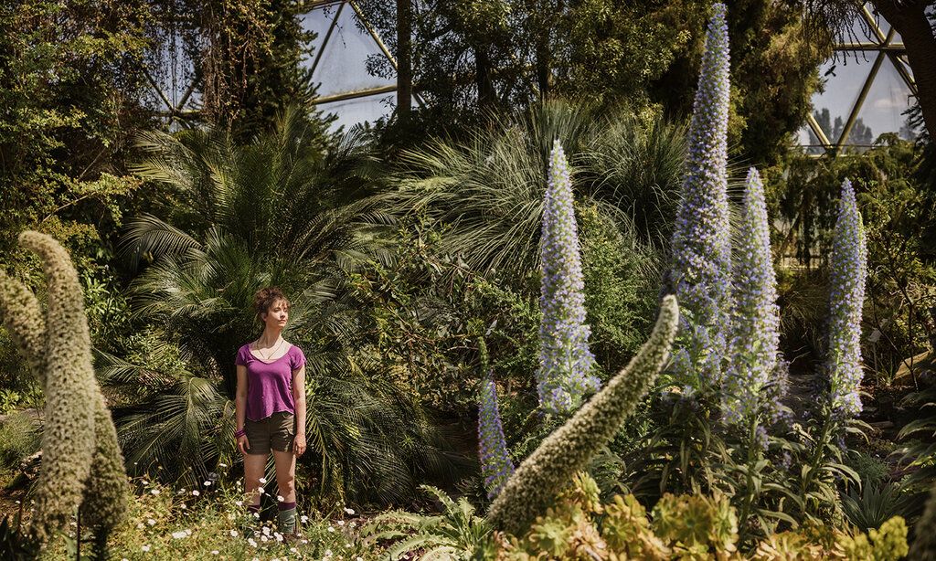 Das grüne Königreich von Cornelia Funke und Tammi Hartung Regie und Bühne: Leonie Rohlfing   Regie: Leonie Rohlfing Bühne und Kostüm: Inés Díaz Naufal Sound-Design: Joy Bausch Dramaturgie und Theaterpädagogik: Ilka Zänger Produktionsleitung: Daniel Reglin Mitarbeit Fassung Audiodeskription: Joy Bausch Produktionsbegleitung: Marc Mio Heitzer   Auf dem Bild Eva Maria Schindele   Foto: Thomas Rabsch