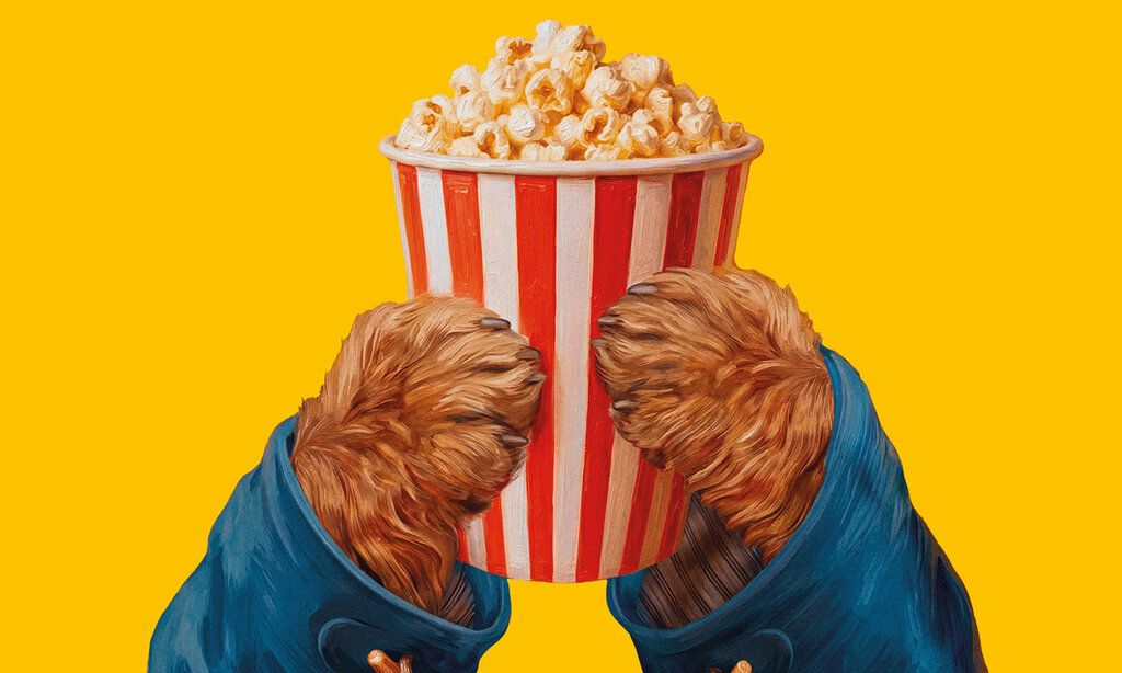 Hände von Paddinton Bär halten einen Becher mit Popcorn ins Bild, Hintergrund: gelb