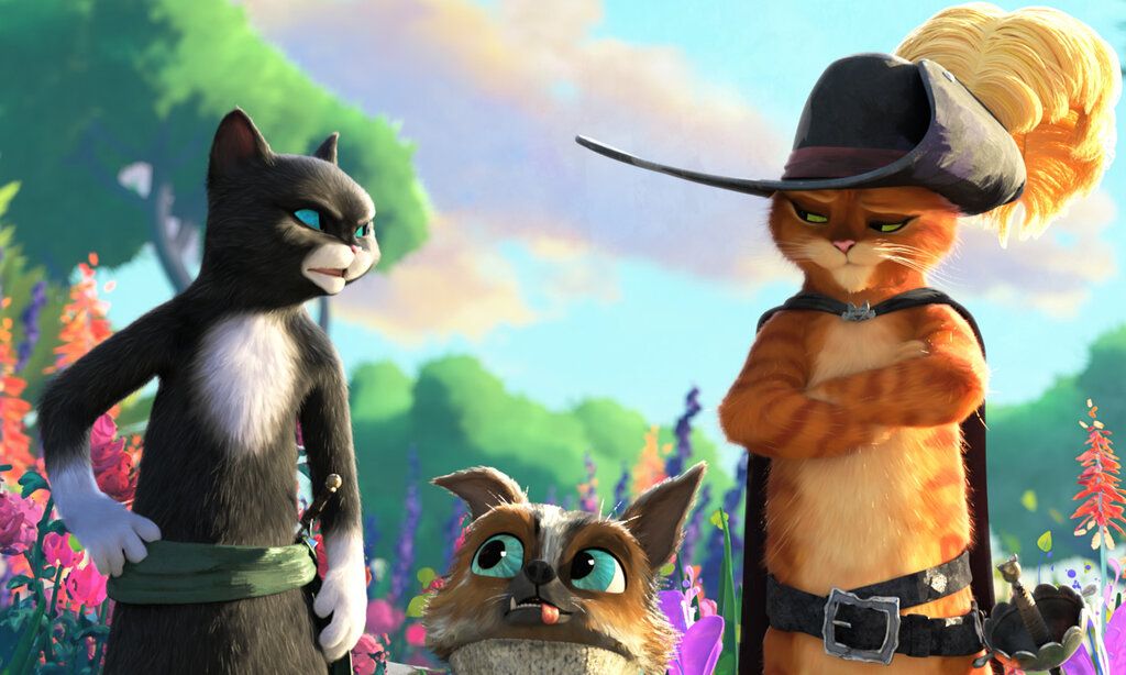 Zwei Katzen reden mit einander, dazwischen steht ein kleinerer Hund