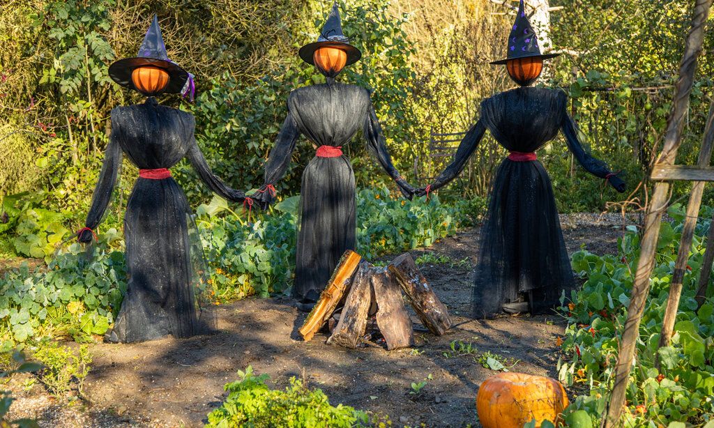 Drei Gespenster-Hexen im Garten mit Kürbiskopf