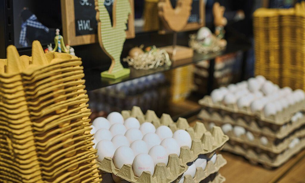 Rund 14 000 Hühner sorgen für Eier-Nachschub im Hofparadies Eller