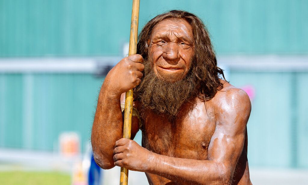 Figur eines Neanderthalers vor dem Neanderthal Museum