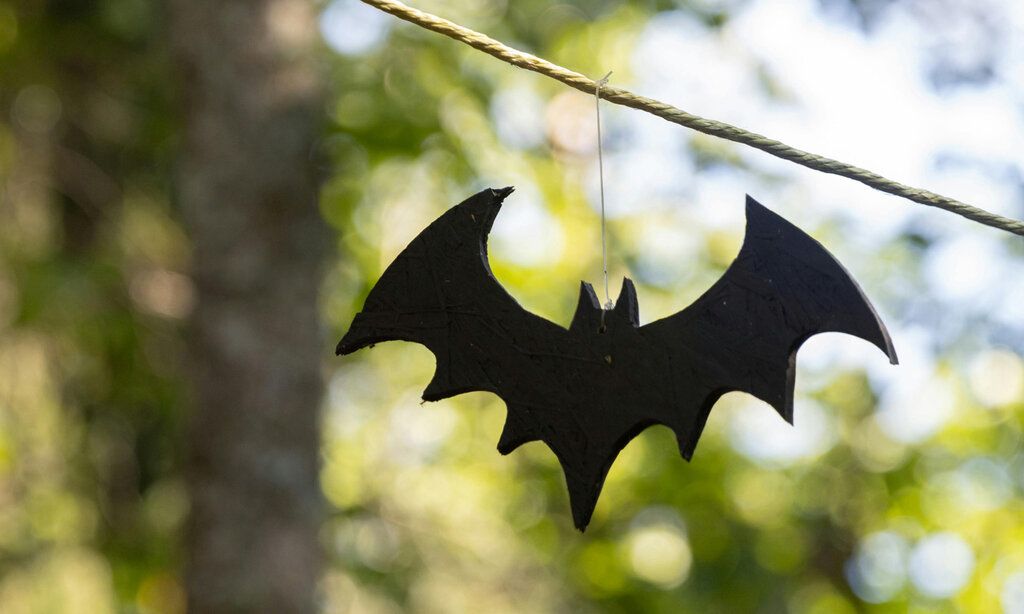 eine Fledermaus aus Pappe hängt aneiner Leine, im Hintergrund unscharfe Bäume