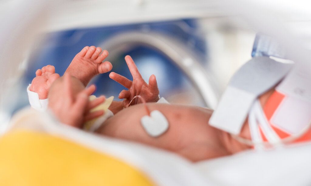 Frühchen im Inkubator