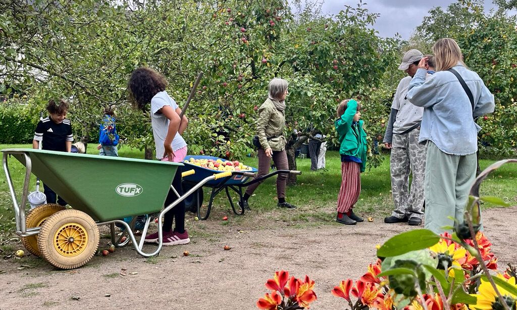 Kinder und Erwachsene gärtnern im Zentralschulgarten