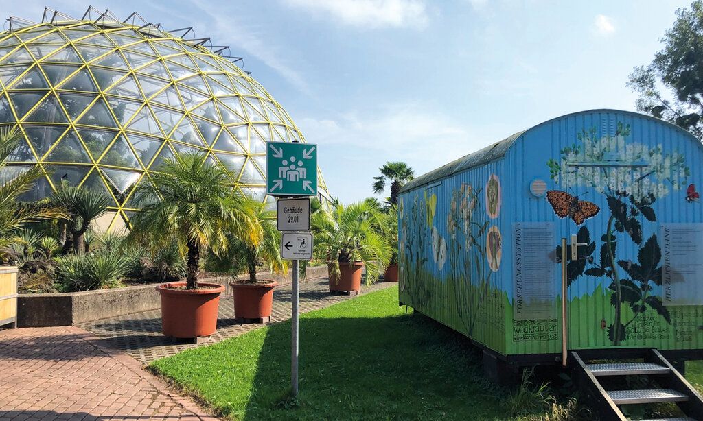 Die Glaskuppel des Botanischen Gartens der HHU Düsseldorf, im Vordergrund ein blauer Bauwagen