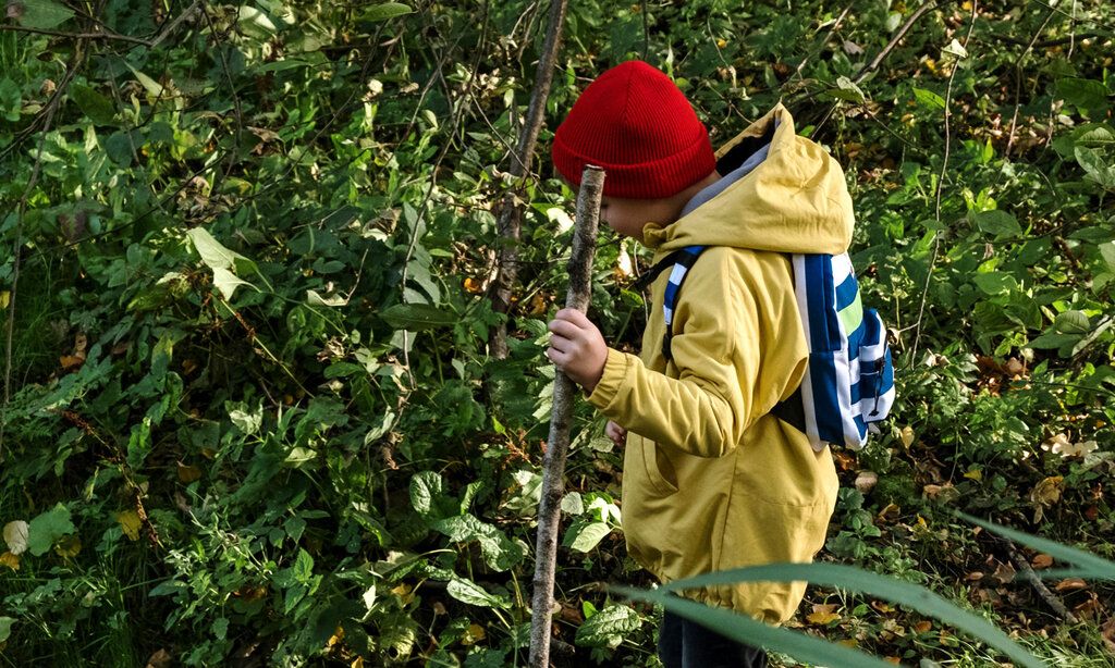 Junge läuft mit einem Stock in der Hand durchs Unterholz im Wald