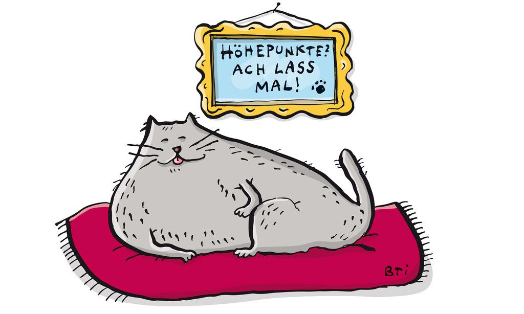 Illustration einer Katze, die grinsend auf einem Kissen liegt,  Vater Kolumne