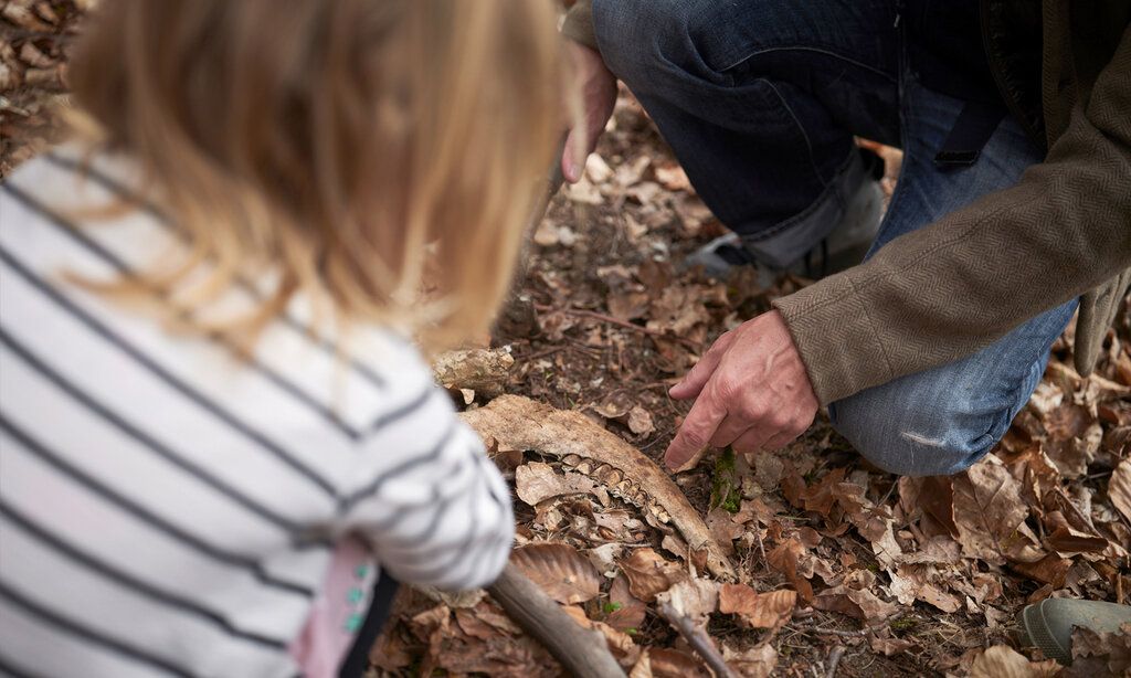 Kind und Erzieher knien im Laub und haben einen Tierschädel entdeckt, Personen von hinten und im Anschnitt