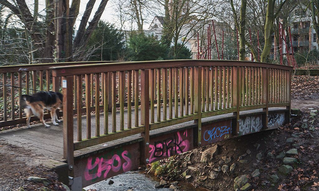 Holzbrücke über Bach, ein Hund geht darüber, Bäume und Häuser im Hintergrund