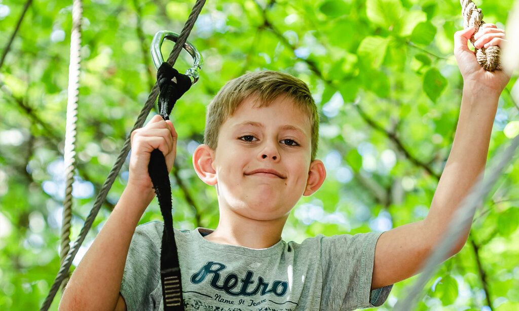 Porträt eines Jungen, der gesichert im Baum klettert