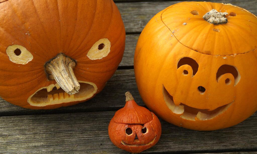 drei Kürbisse mit geschnitzten Gesichtern