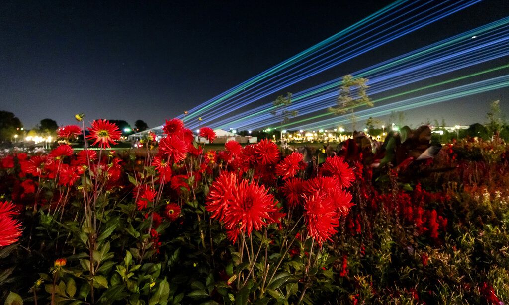 Laga Lichtshow, Blumen und Laserstrahlen bei Nacht