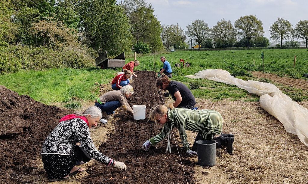 Leute arbeiten auf einem Acker
