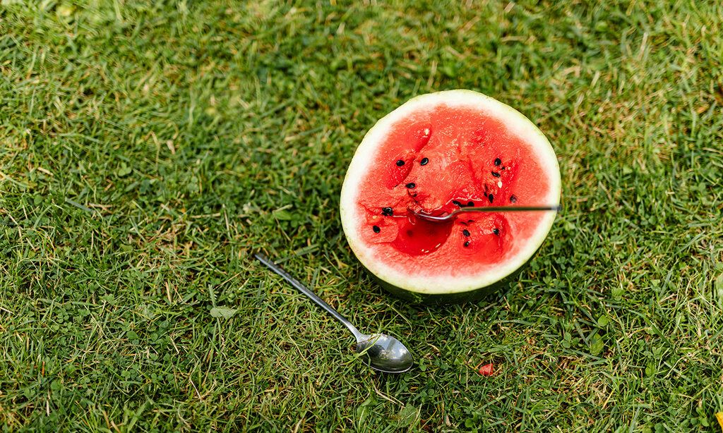 eine Melone mit zwei Löffeln auf einer Wiese
