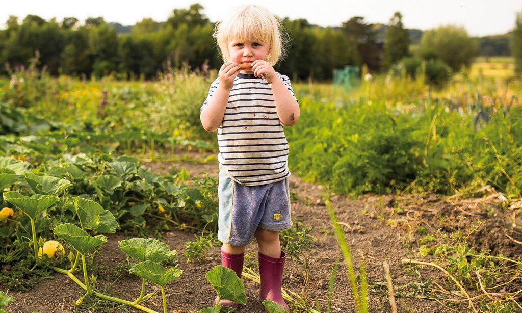 Kleiner Junge steht mit Gummistiefeln auf einem Acker und hält sich ein Stück Möhre vor den Mund