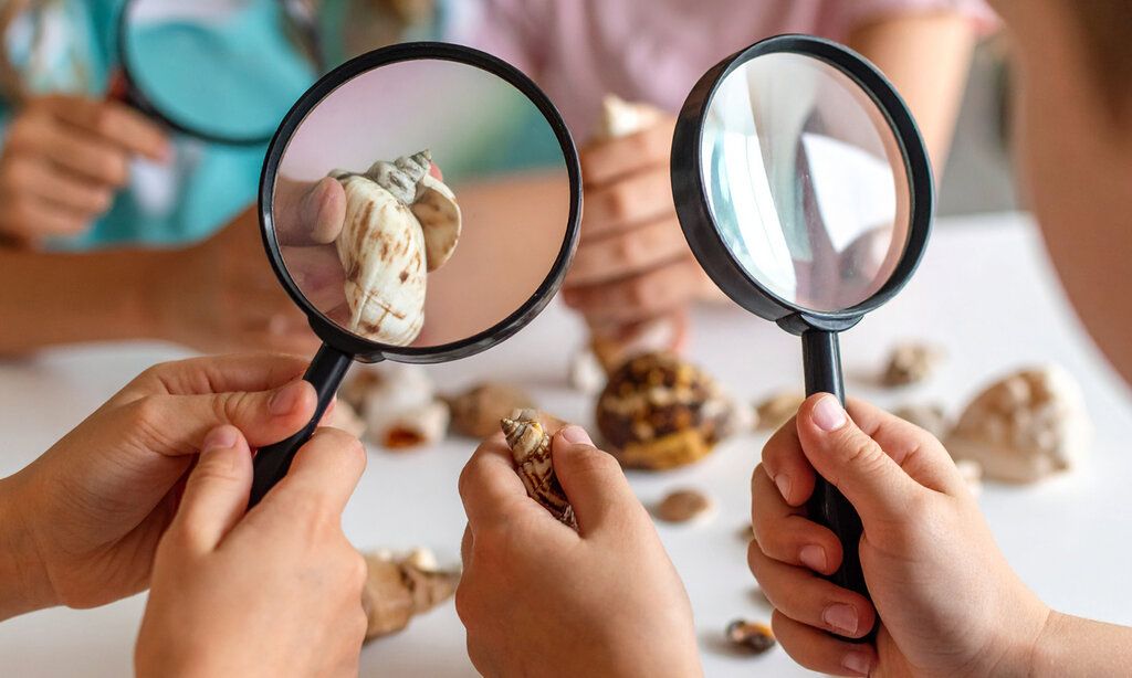 Kinderhände halten zwei Lupen, dahinter ist ein großes Schneckenhaus