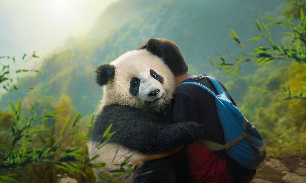 Filmszene, ein Panda und ein Junge mit einem Rucksack umarmen sich, im Hintergrund bewaldete Berge
