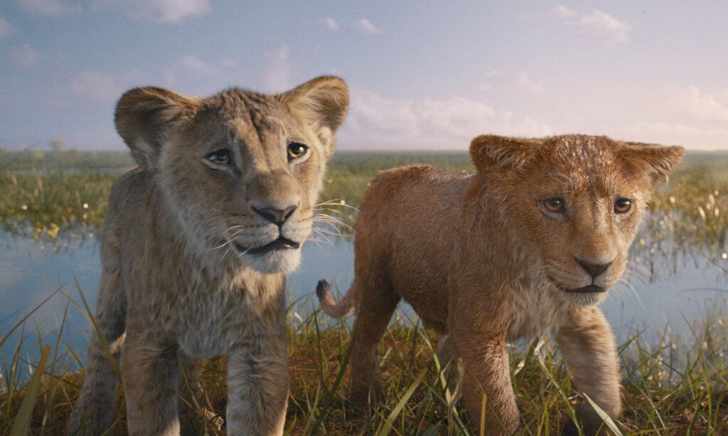 Trickfilm, zwei junge Löwen in der Savanne