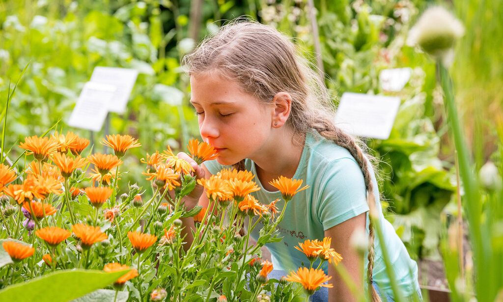 Mädchen geniesst mit geschlossen Augen den Geruch von orangen Blumen